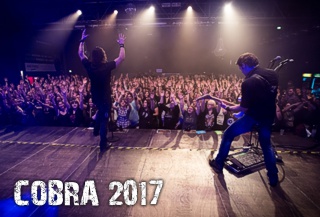 BOUNCE Cobra 2017